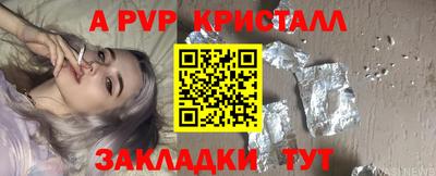 стаф Кунгур