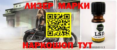 стаф Кунгур