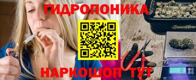стаф Кунгур