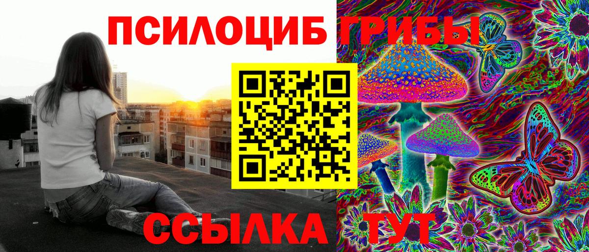 Галлюциногенные грибы Cubensis  Галлюциногенные грибы мицелий  Каменка  Вход с VPN 